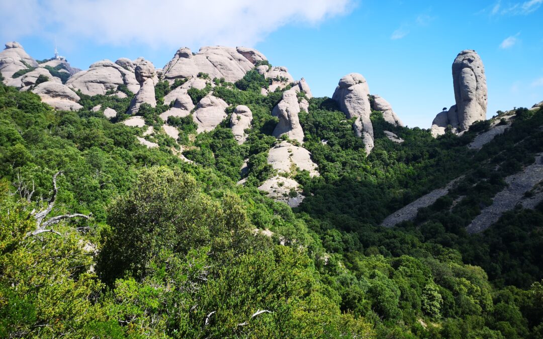 Pujada a Sant Jeroni a Montserrat