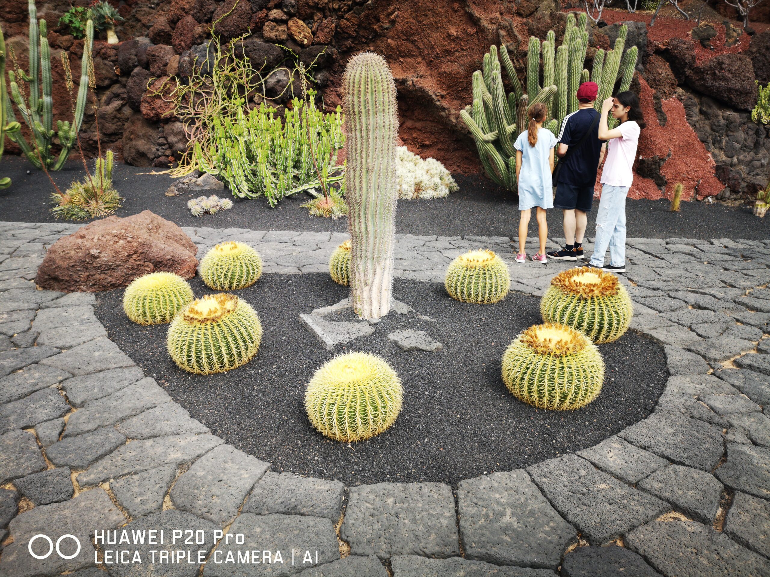 Jardín de Cactus de César Manrique