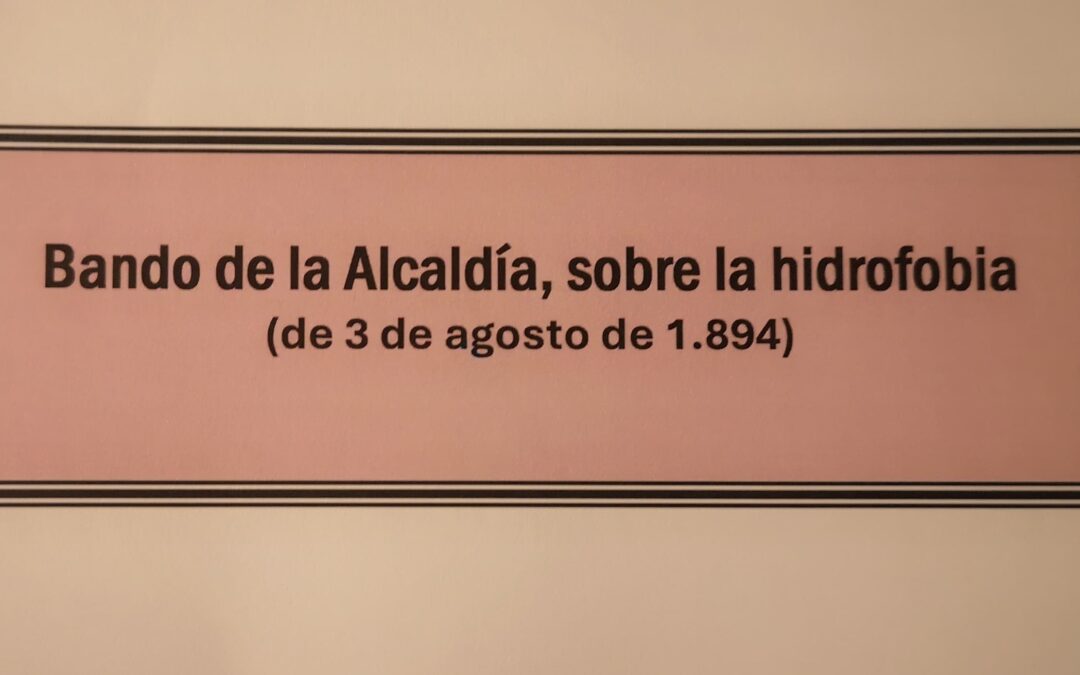 Bando del Alcalde sobre la hidrofobia