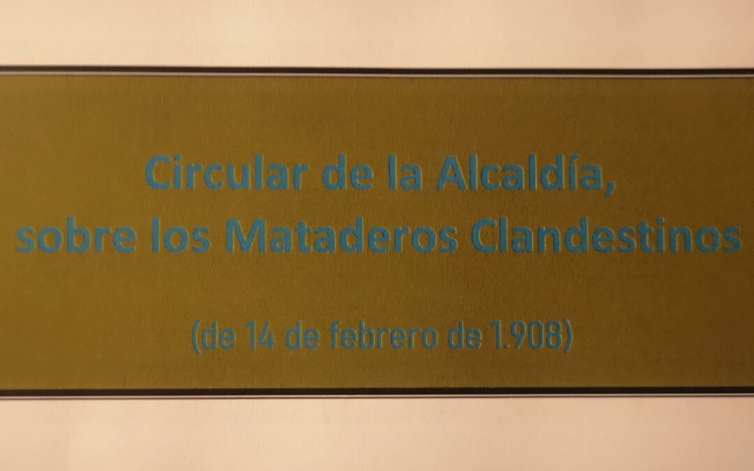 Circular de la Alcaldía, sobre los mataderos clandestinos