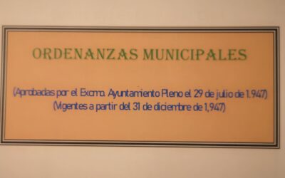 Ordenanzas Municipales