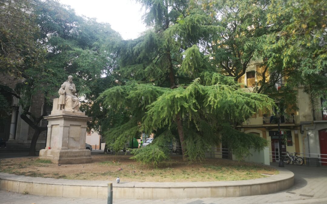 Monument al Canonge Rodó