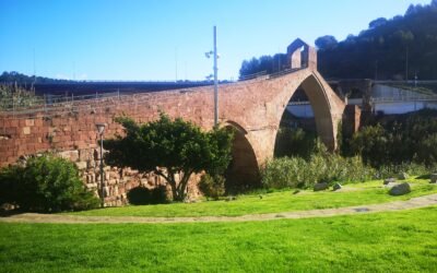 Zona del Riu Llobregat, de Sant Andreu de la Barca al Pont del Diable de Martorell